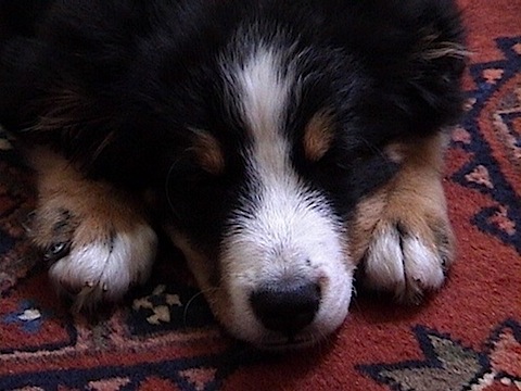 200907072159.jpg