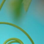 vine blue 3
